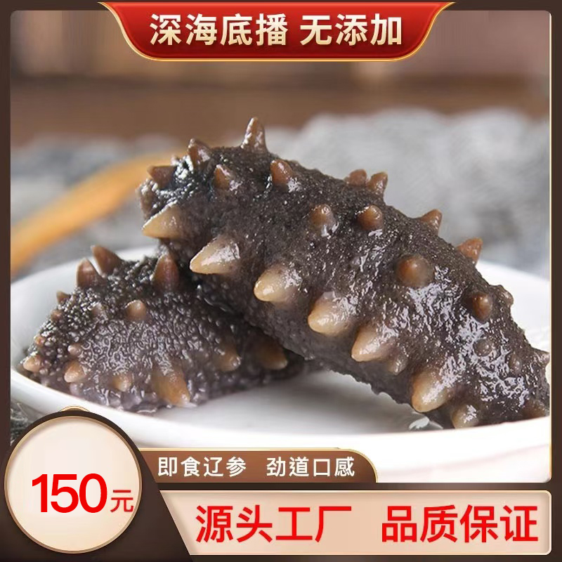 【兔子牙姐姐】10-13头即食海参深海底播辽刺参 大连工厂直发