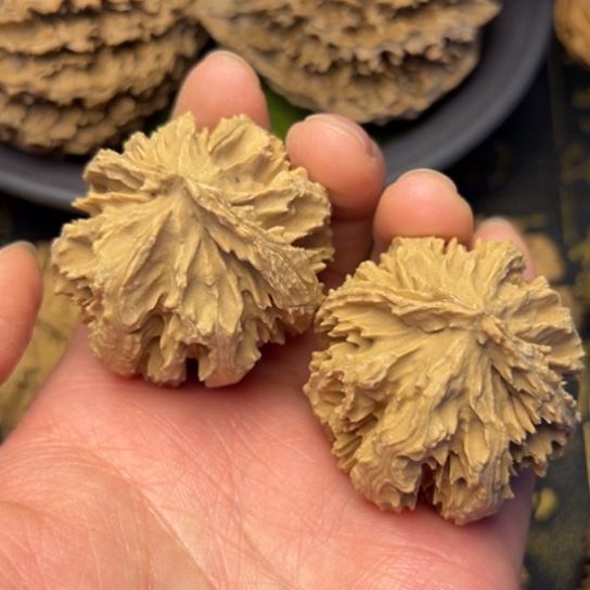 文玩核桃吊坠秦岭核桃10