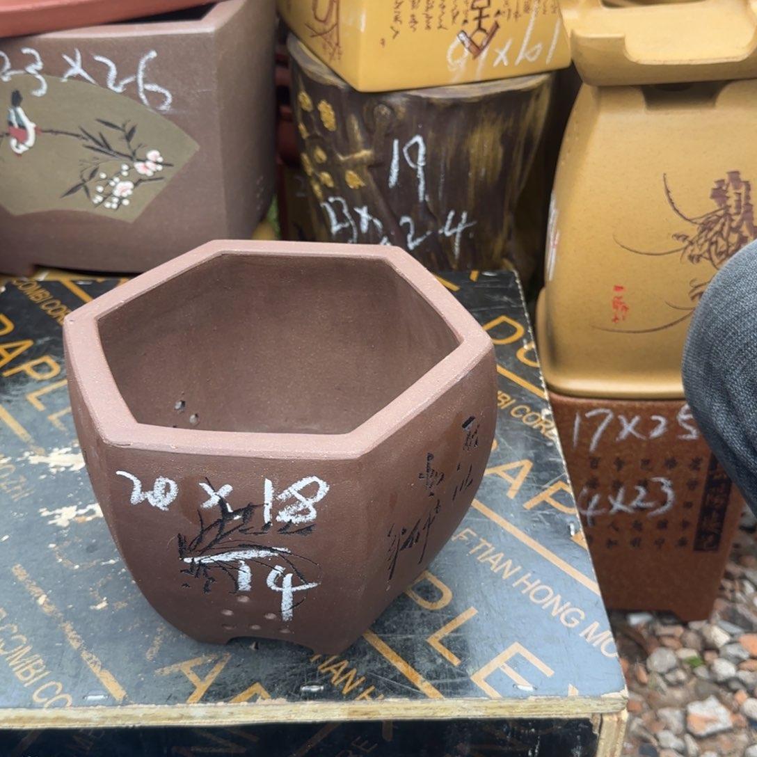 紫砂花盆盆景盆栽