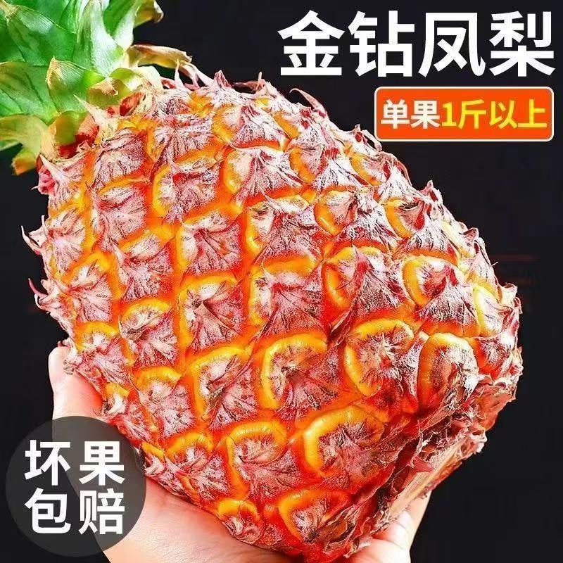 xy正宗金钻凤梨自然成熟应季水果新鲜采摘香甜多汁
