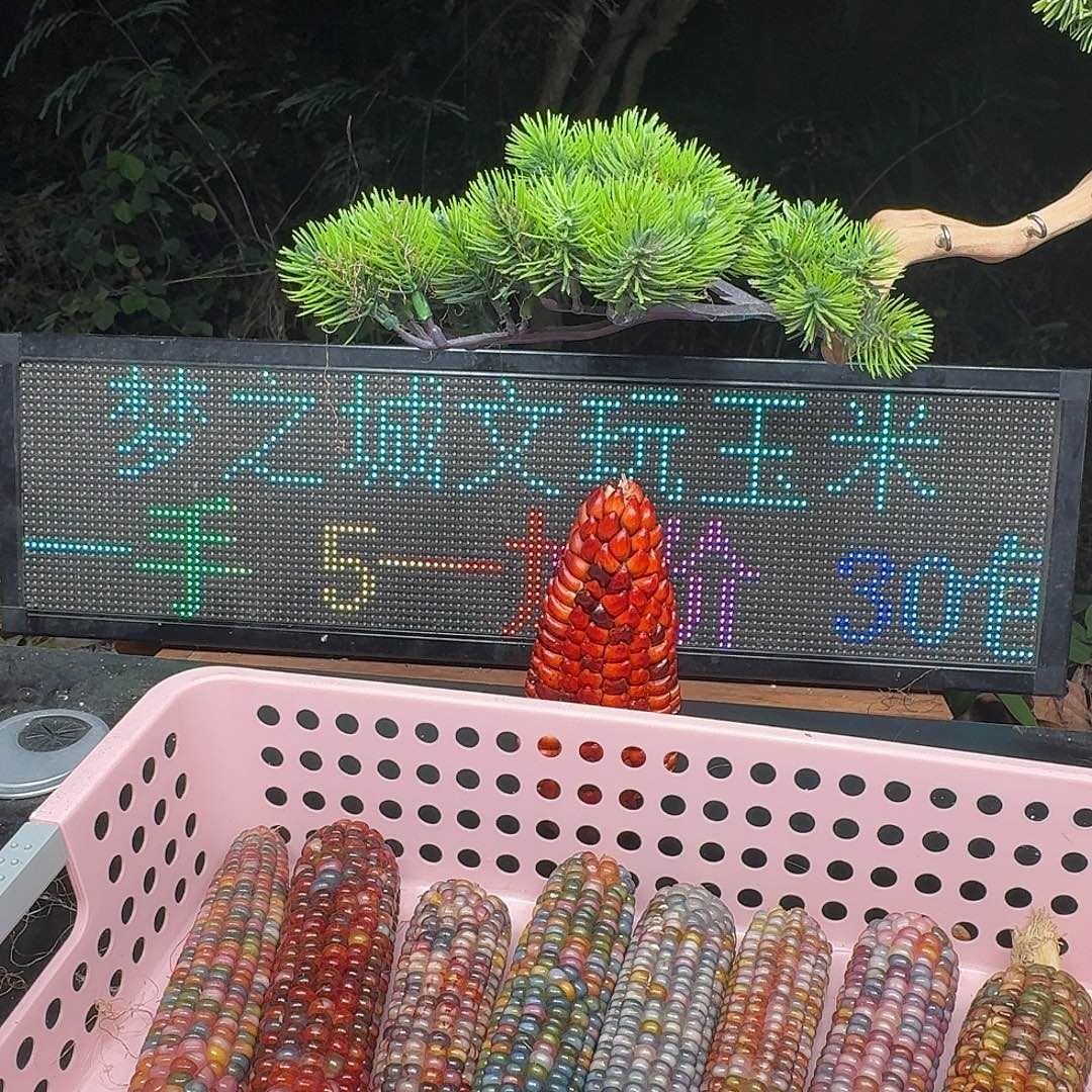 不***银大叶紫檀（黑酸枝木类）