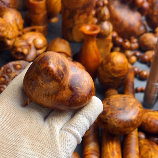 松木（琥珀木）其他