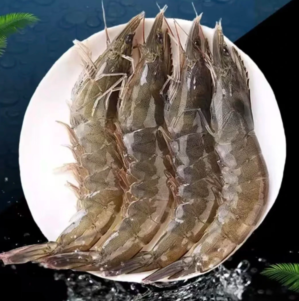 F 四斤海洋大虾15-18厘米/只 10-15只/斤 活虾速冻锁鲜 整箱四斤