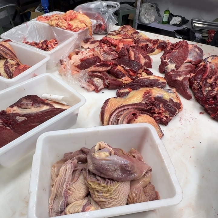 12中国大陆马肚子