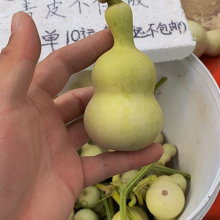 L***?可怜咯哈哈哈哈舒服