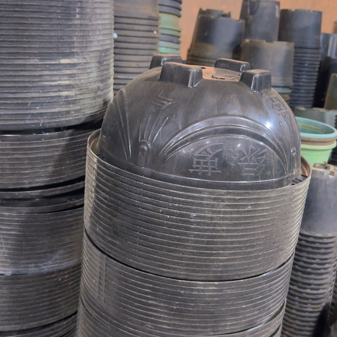 新吊兰盆27口径13高 10个