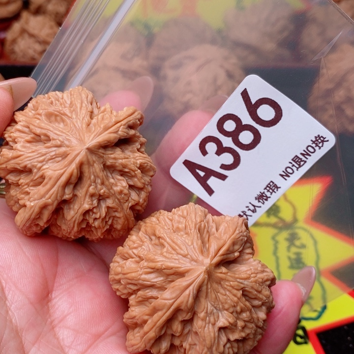 粗筋46尺386号瑕疵