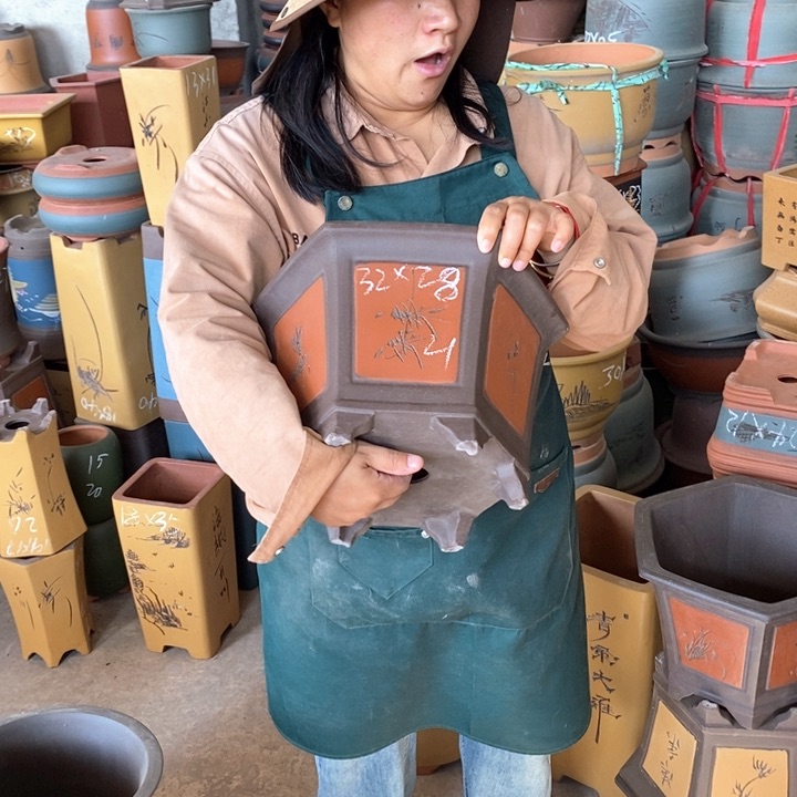 紫砂花盆盆栽花卉苗木种植