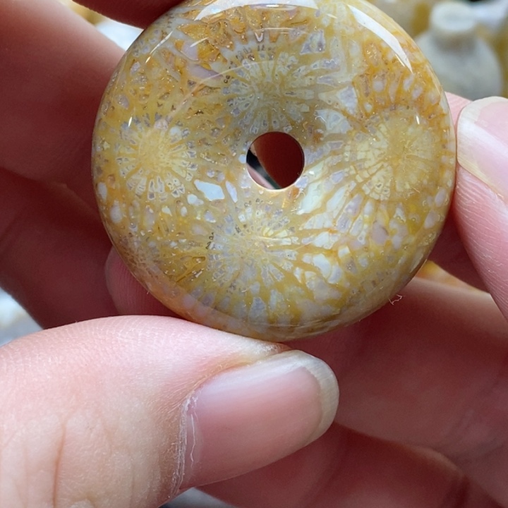 硅化珊瑚（珊瑚玉）颈饰未镶嵌