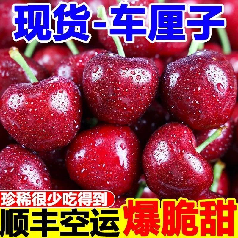 【空运到家】桑提娜智利空运进口车厘子2-4JD内附果径卡多品牌