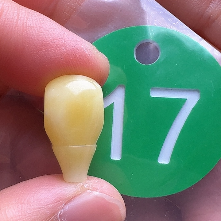 未镶嵌蜜蜡裸石10mm微瑕