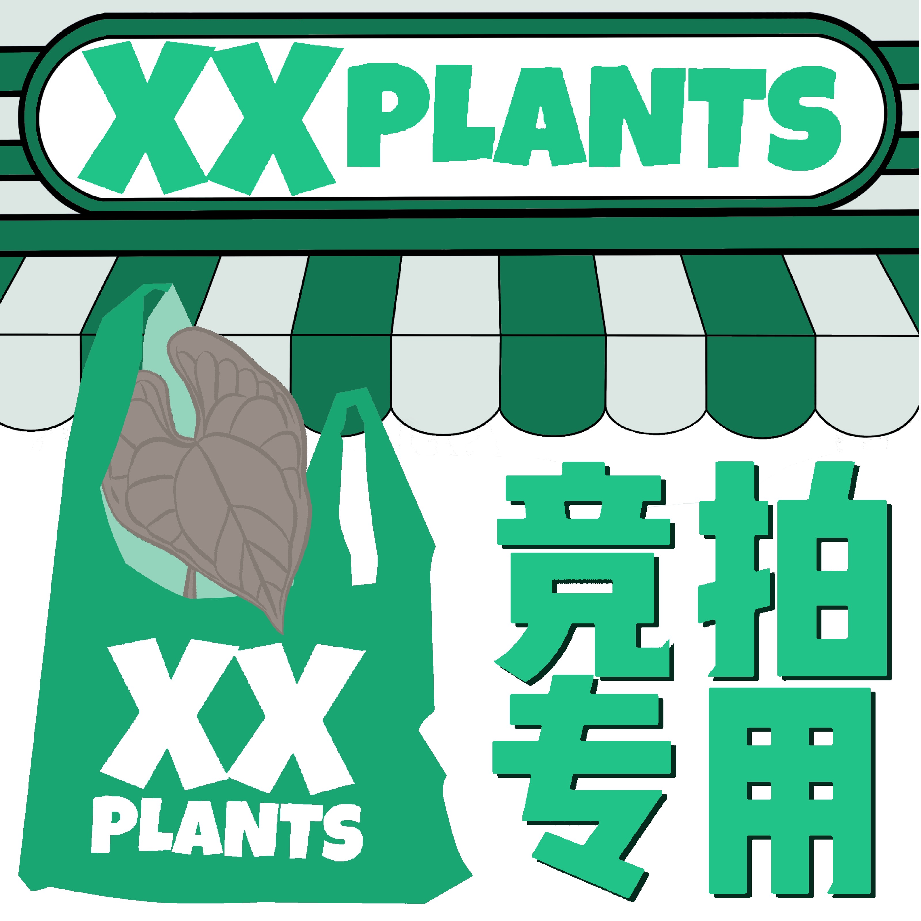 XXPlants 优选竞拍