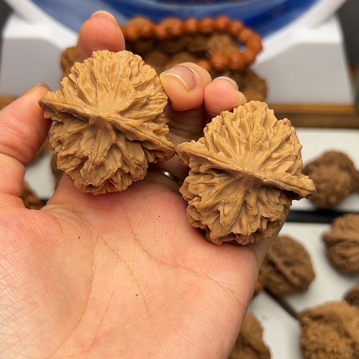 秦岭山脉的形成过程