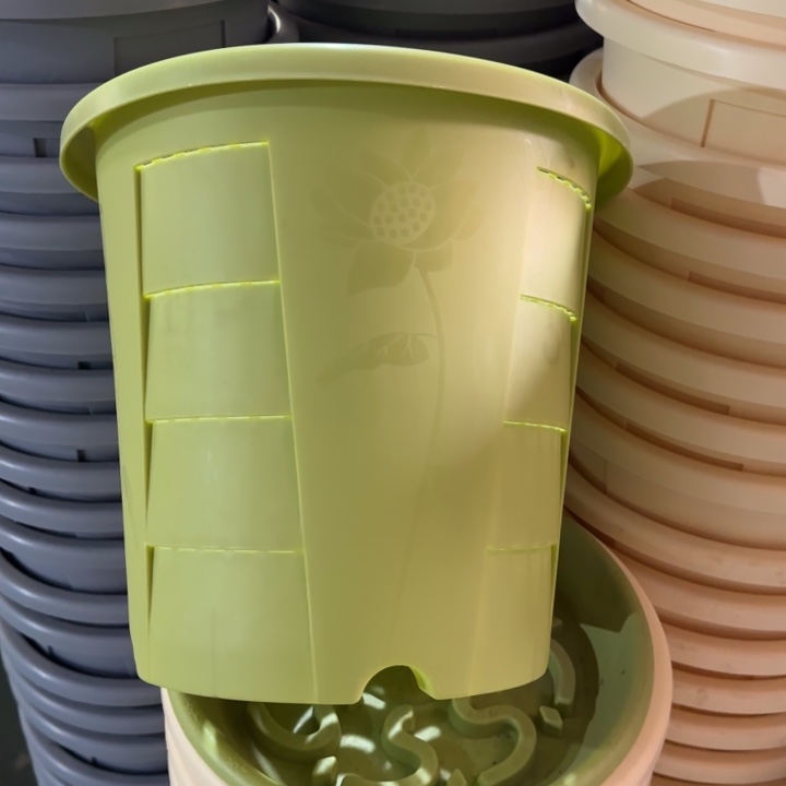 测4#口径29无托果绿4个