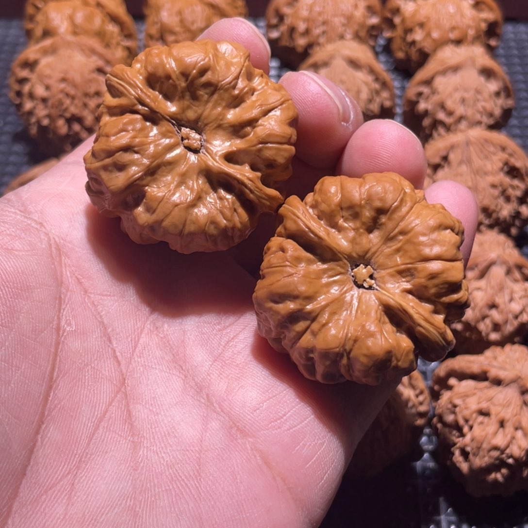 ****的核桃41蛤蟆修尖儿