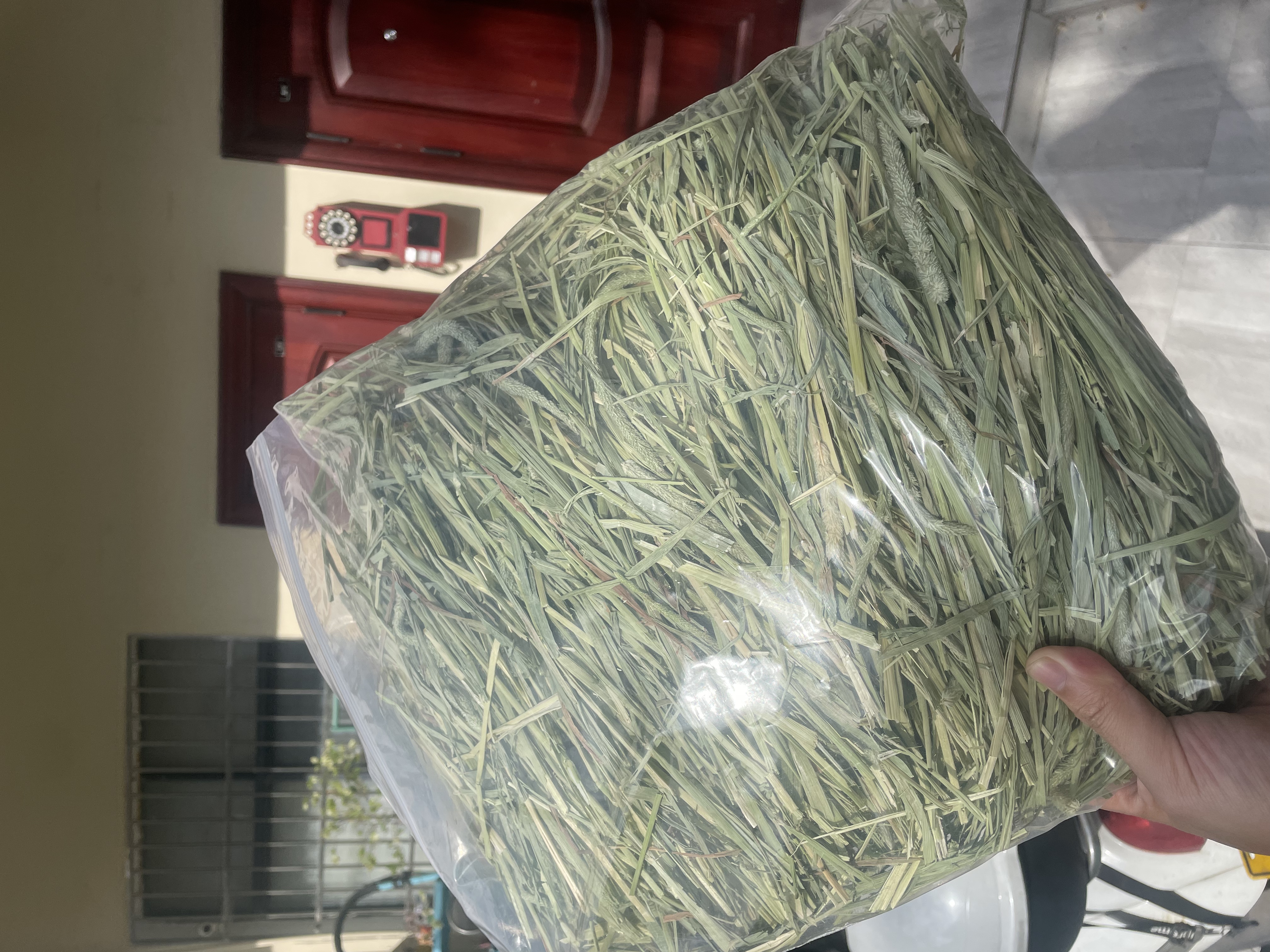 美国晒干提摩西草兔子龙猫豚鼠主草高粗纤维可磨牙