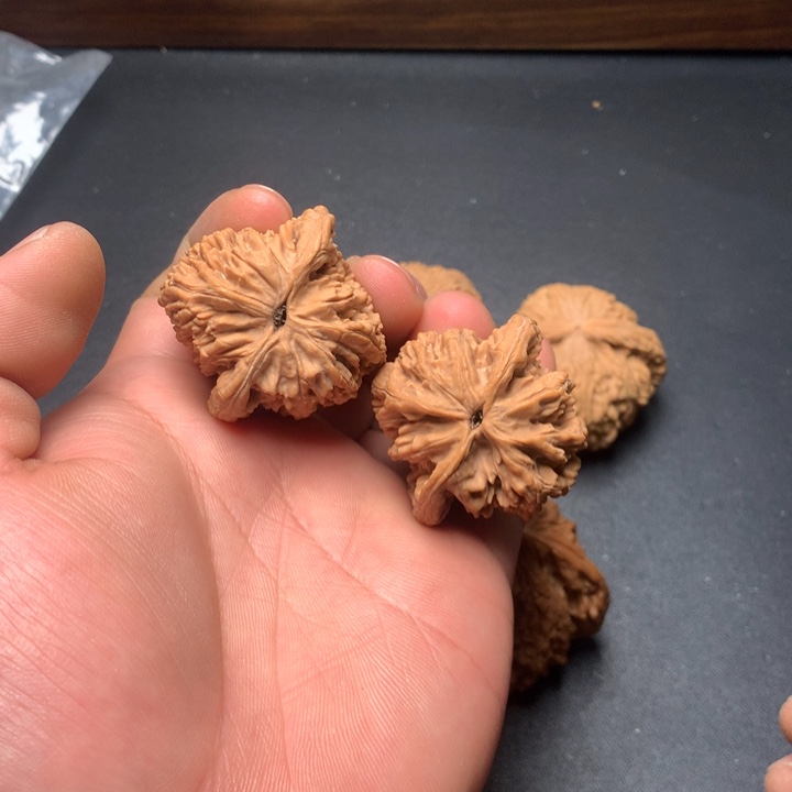 文玩核桃把件40虎头44