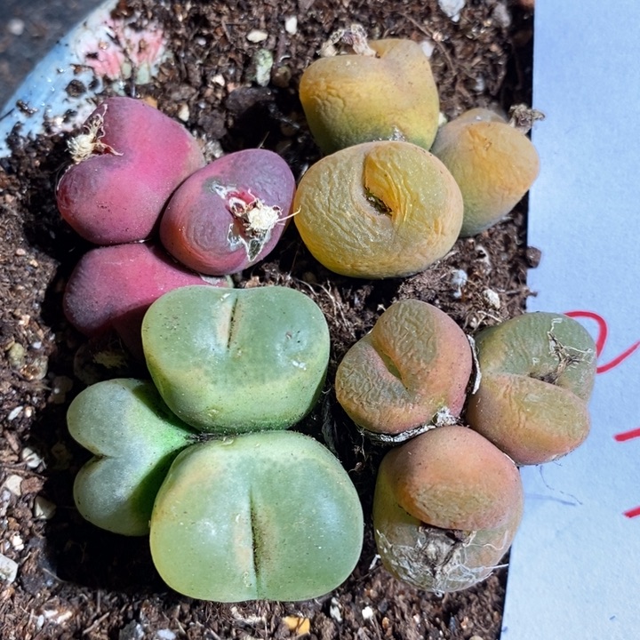 2121一组一组一组