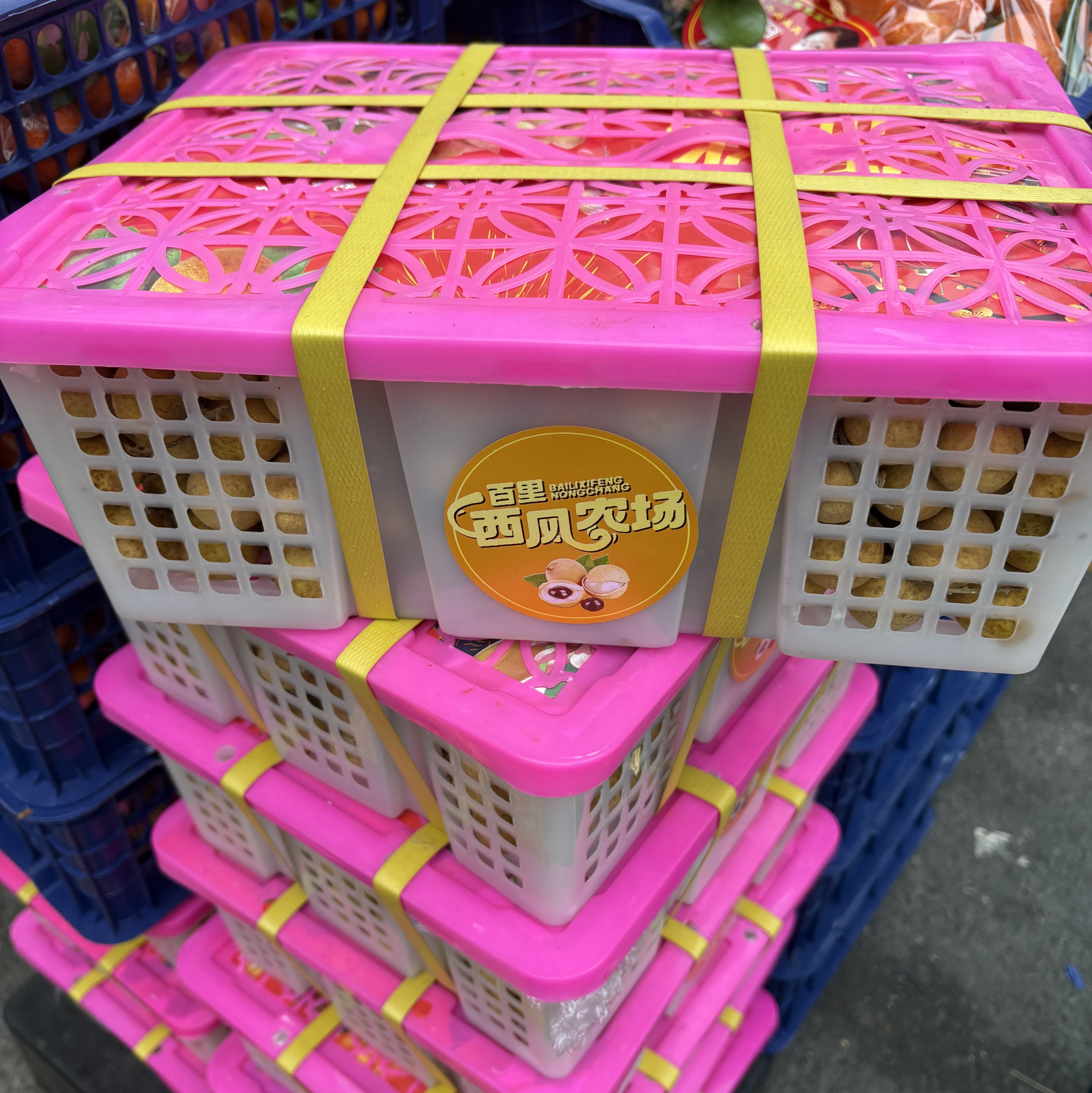 【小时达】特级金标龙眼带框约8斤半±20g