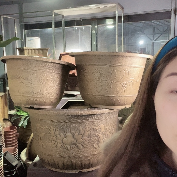 圆50两个有孔金色的