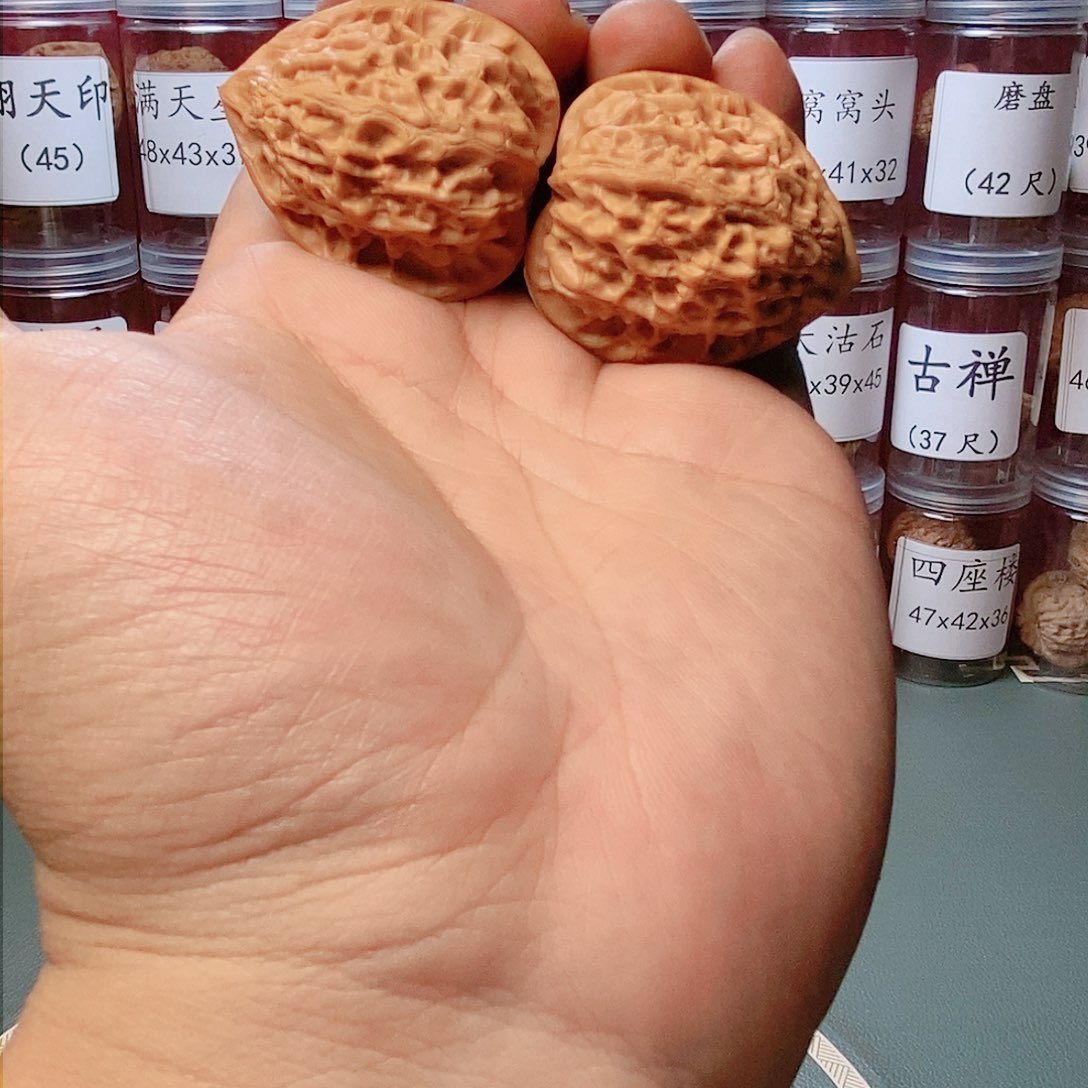 38尺寸金牛文玩核桃