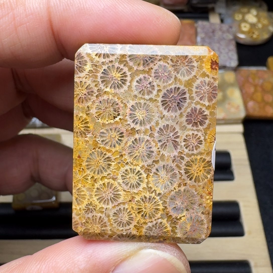 硅化玉未镶嵌纯天然色有机玉石保真色