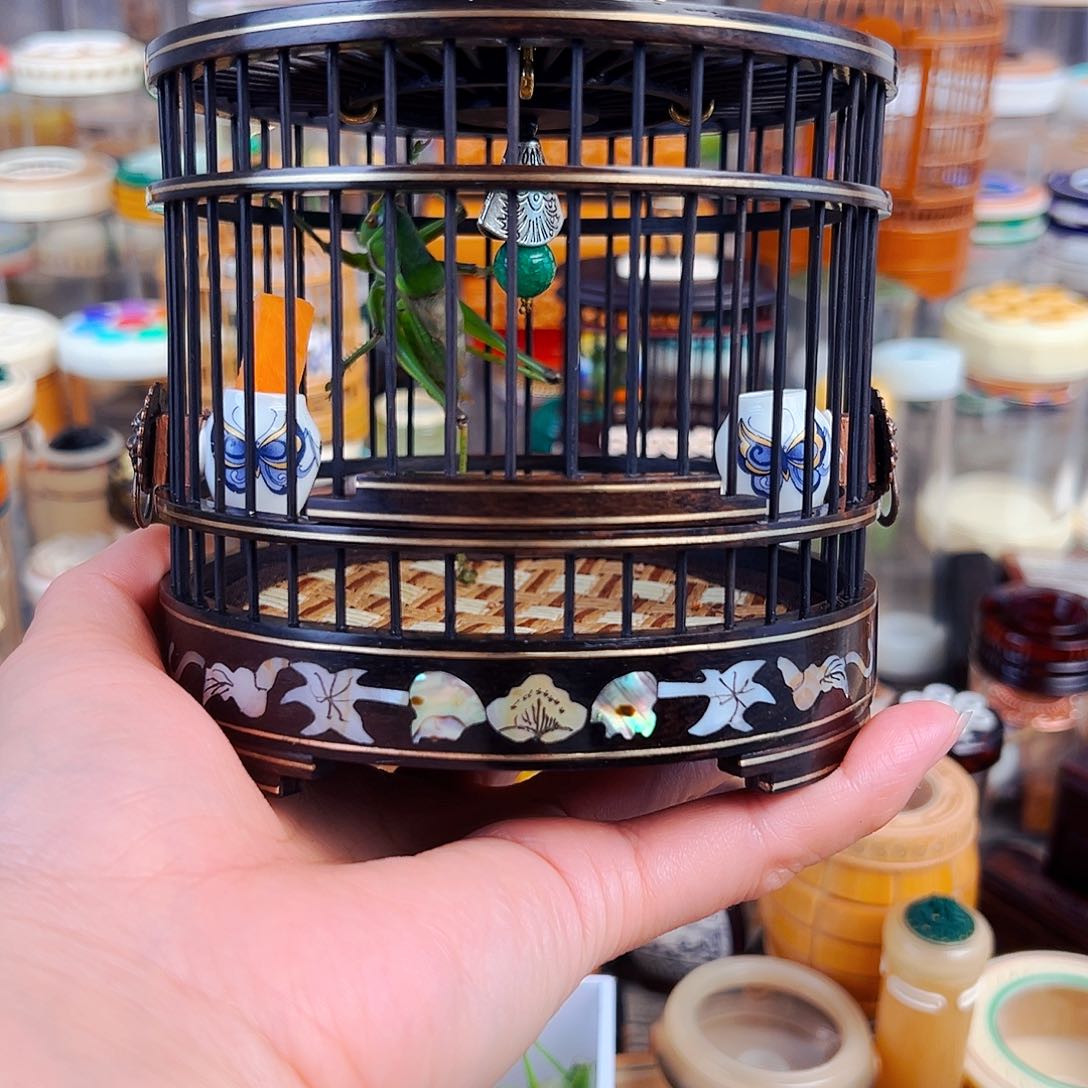 竹紫光檀贝壳大圆笼➕瓷罐➕翡翠绿锅锅