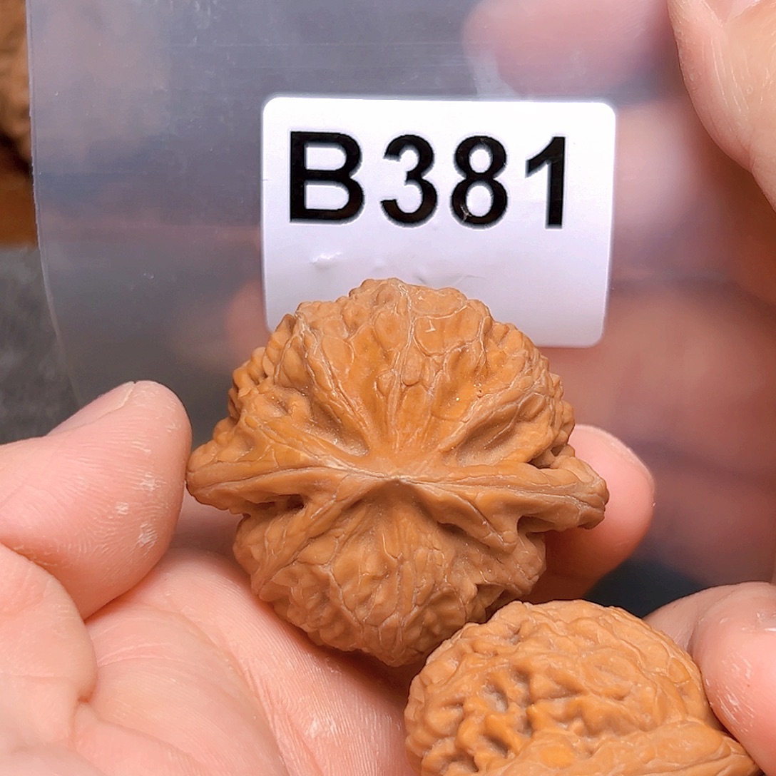 浩***6吊坠文玩核桃宫灯