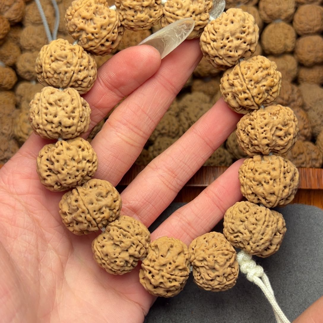 菩提18号尼泊尔大金刚22蜂窝