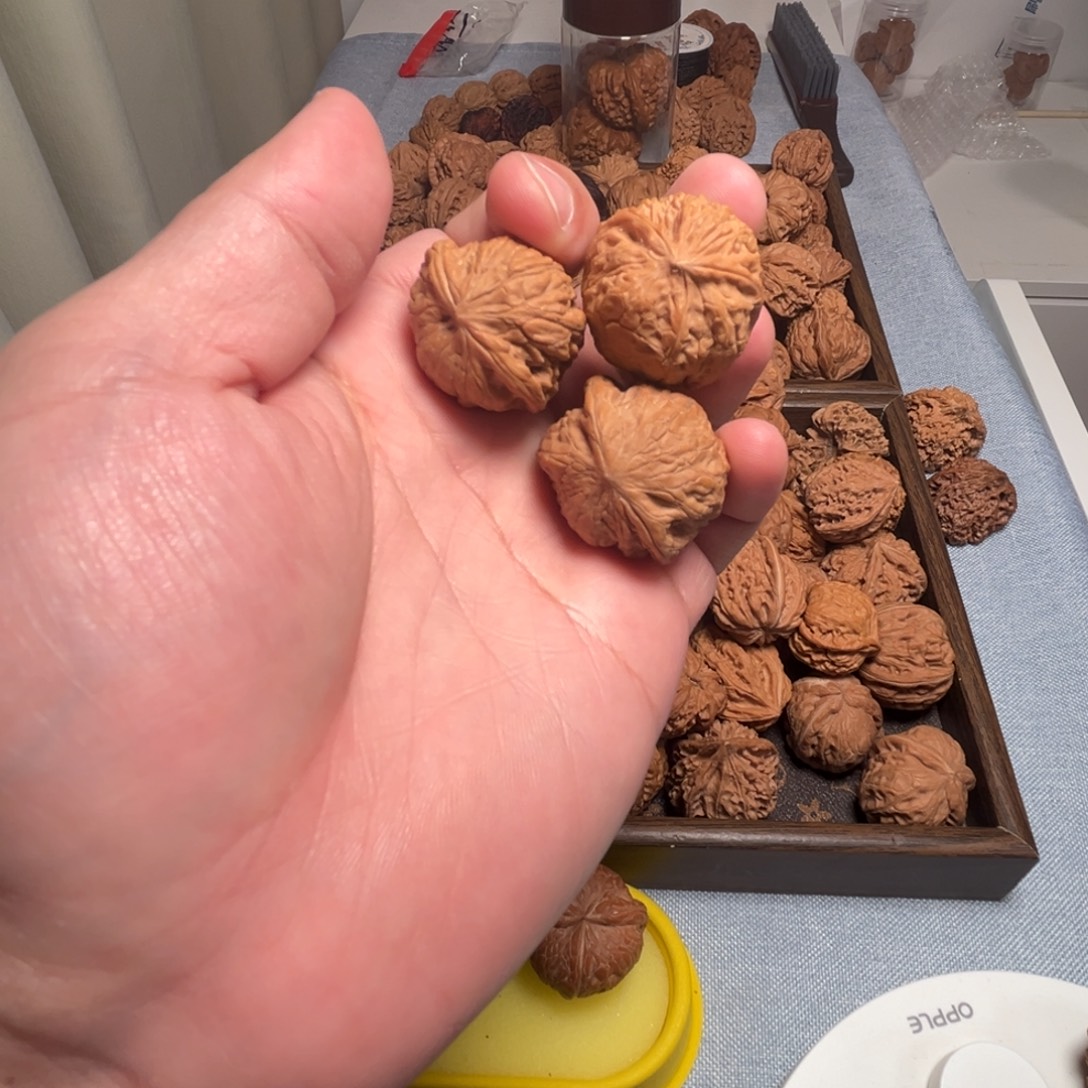 梦***落核桃核桃核桃核桃