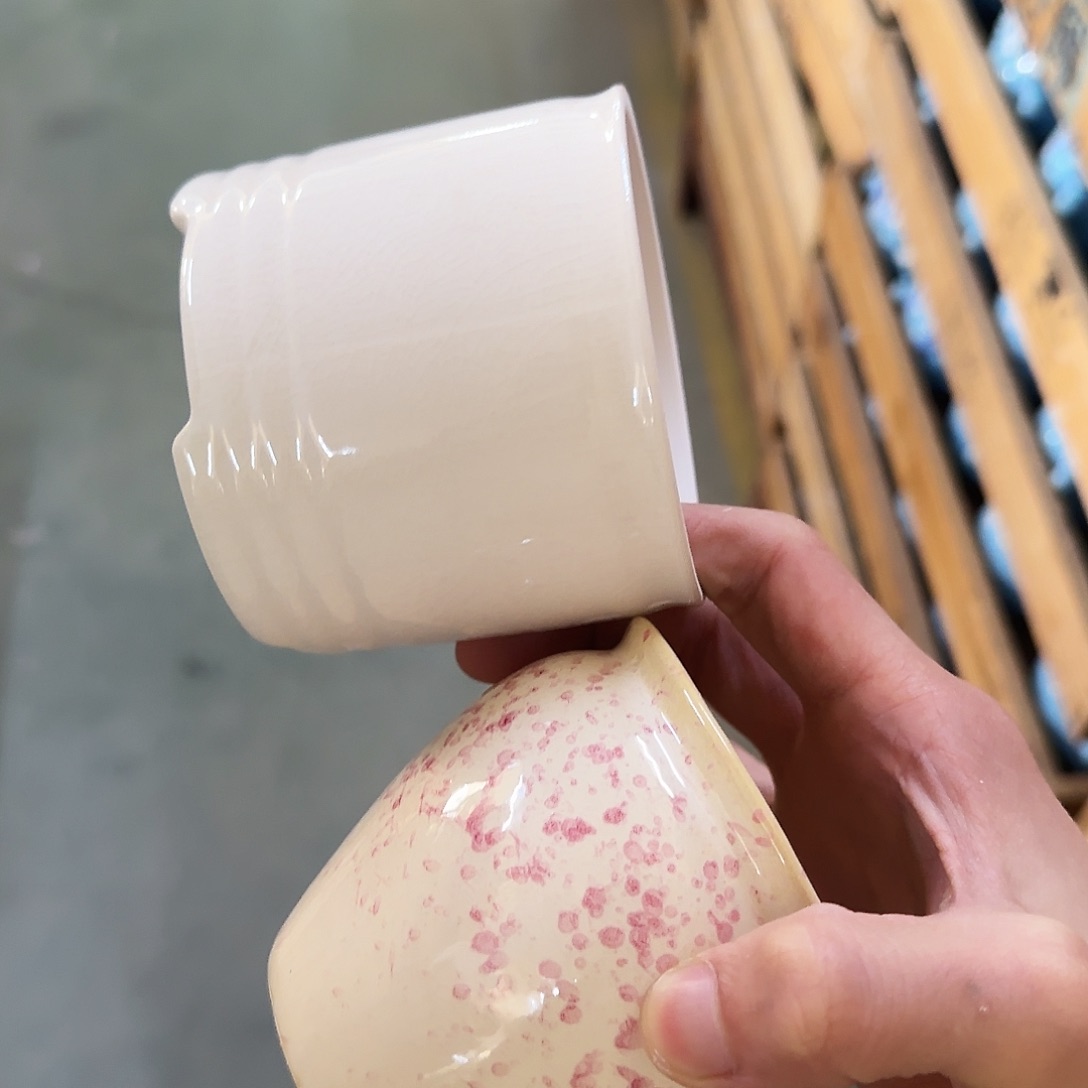 2个福利局［凑9元包邮24小时发］