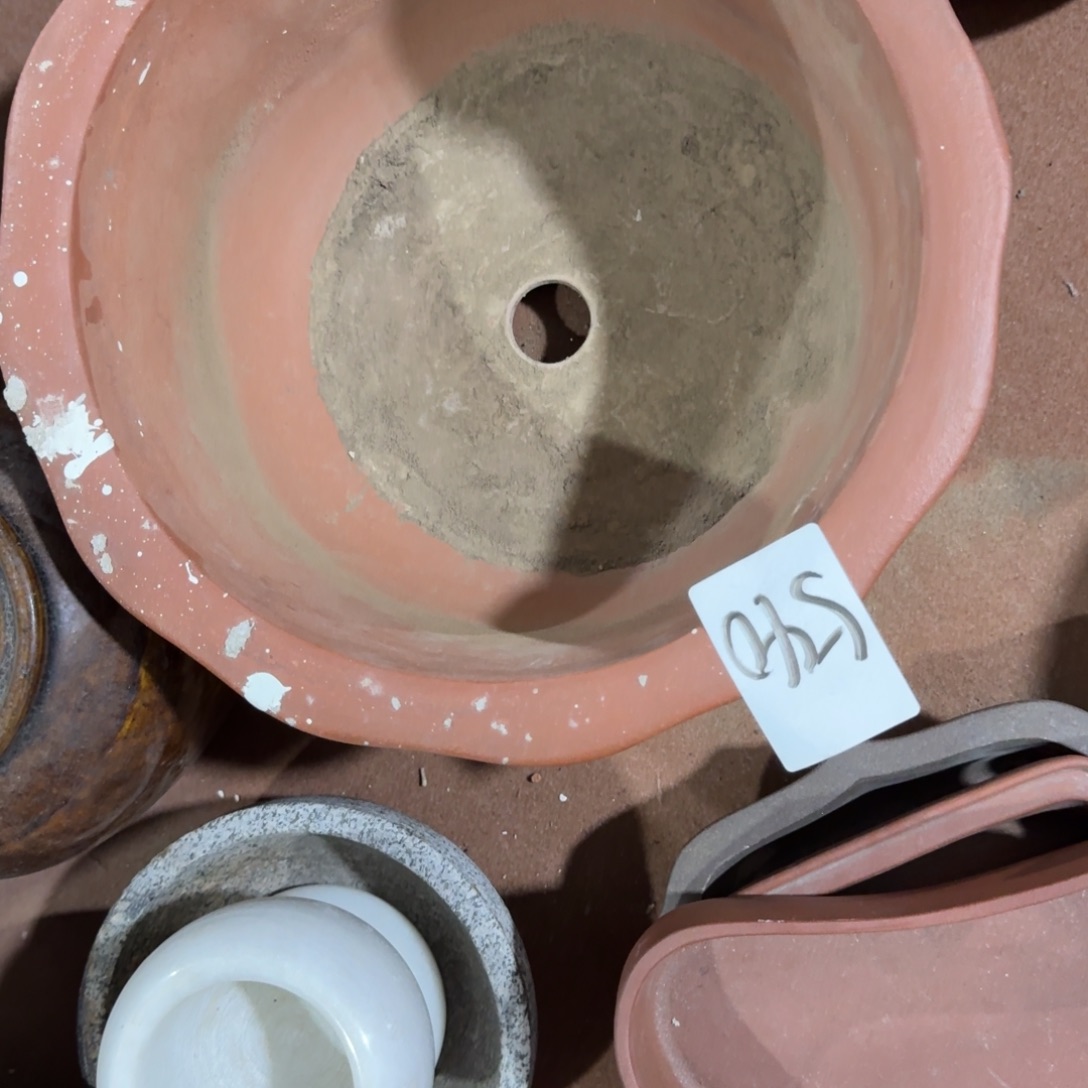 苏***荣杂色豆（科檀/科特迪瓦檀木）