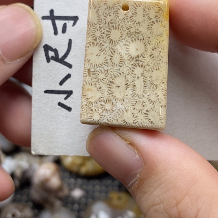 颈饰未镶嵌硅化珊瑚（珊瑚玉）