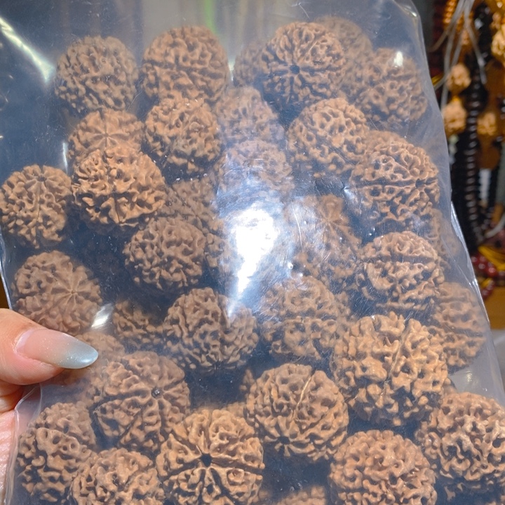 野生多瓣大金刚50颗