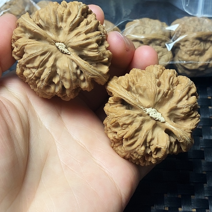 文玩核桃吊坠粗筋