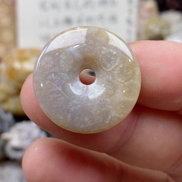 颈饰未镶嵌硅化珊瑚（珊瑚玉）小