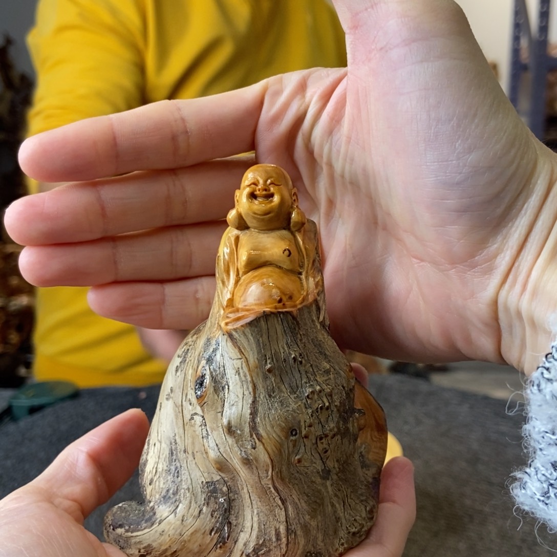 柏木（崖柏）精品太行崖柏