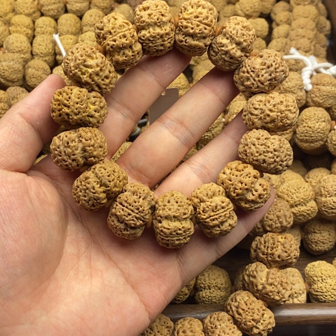 手串金刚菩提梅花双龙