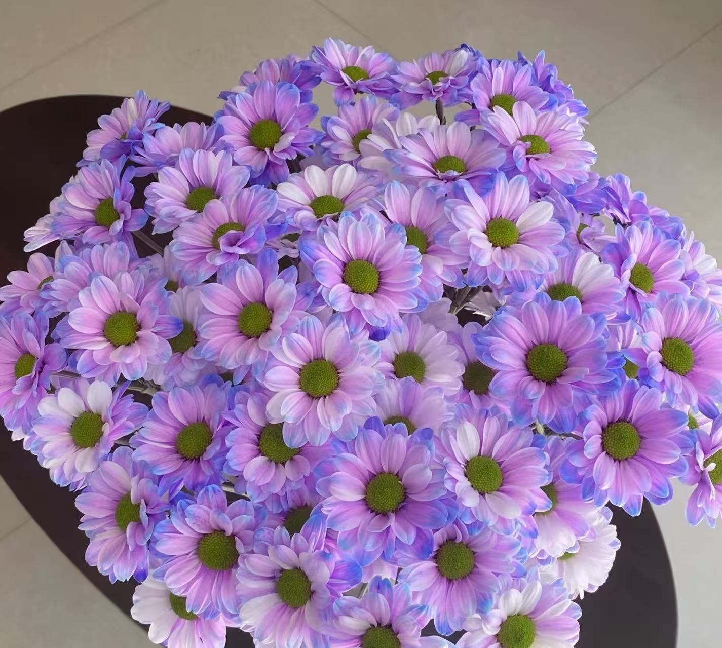 小菊 稀有小众鲜花基地直发 给水就能活花期王者