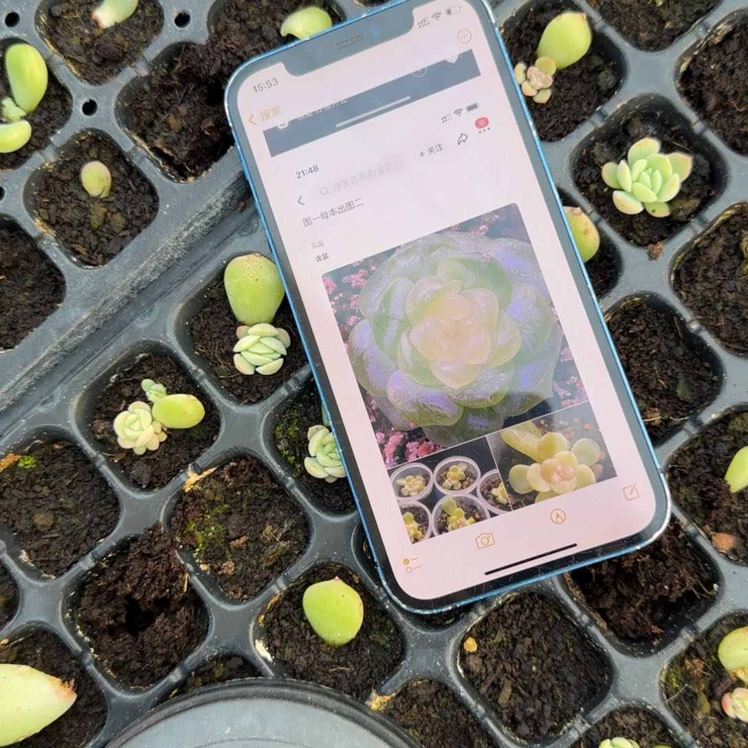 T20 穴1个满25包邮