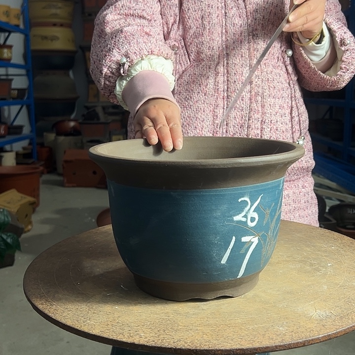 26蓝平角金钟花盆花盆花盆