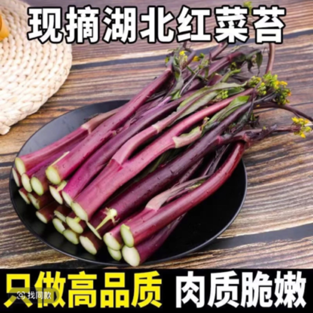 湖北红菜苔农家自种现摘新鲜蔬菜洪山紫菜苔炒腊肉油菜苔露天抽苔