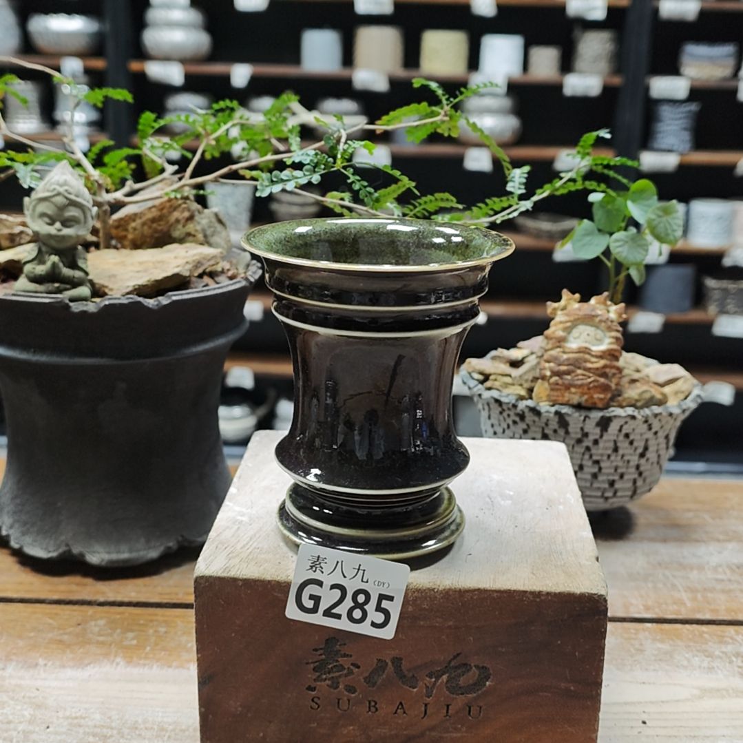 春***虫瓷素八九陶瓷不看10高11.5