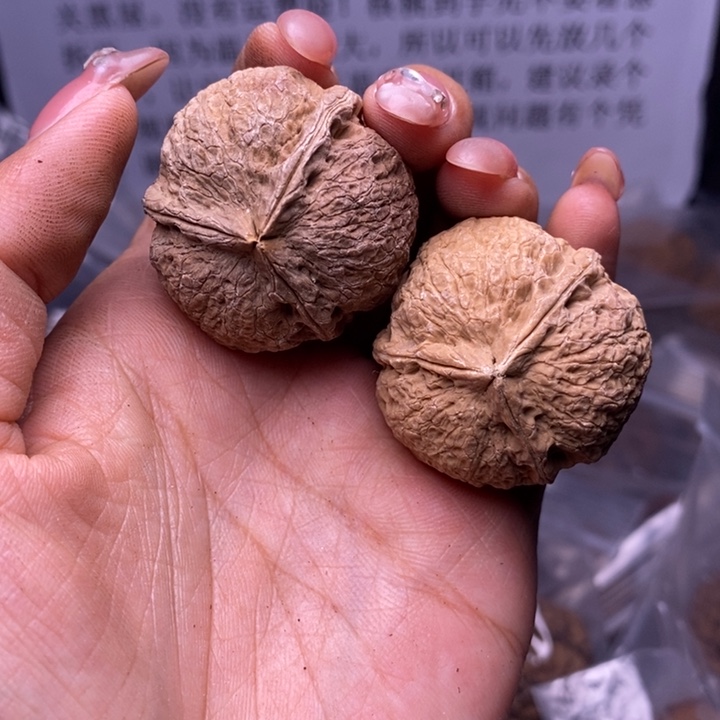 核桃云南野生铁核桃124号35mm