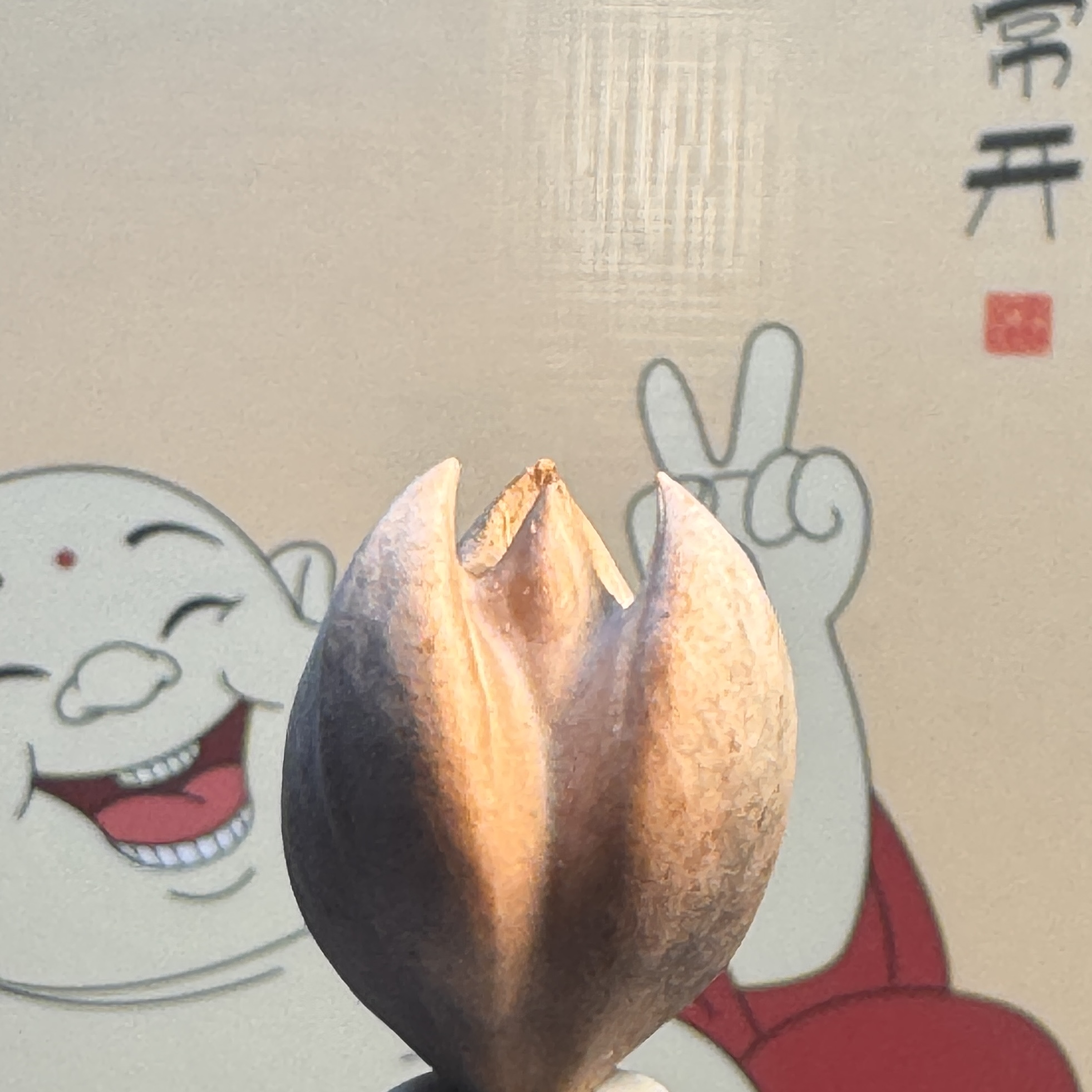 橄榄核兰花核单件