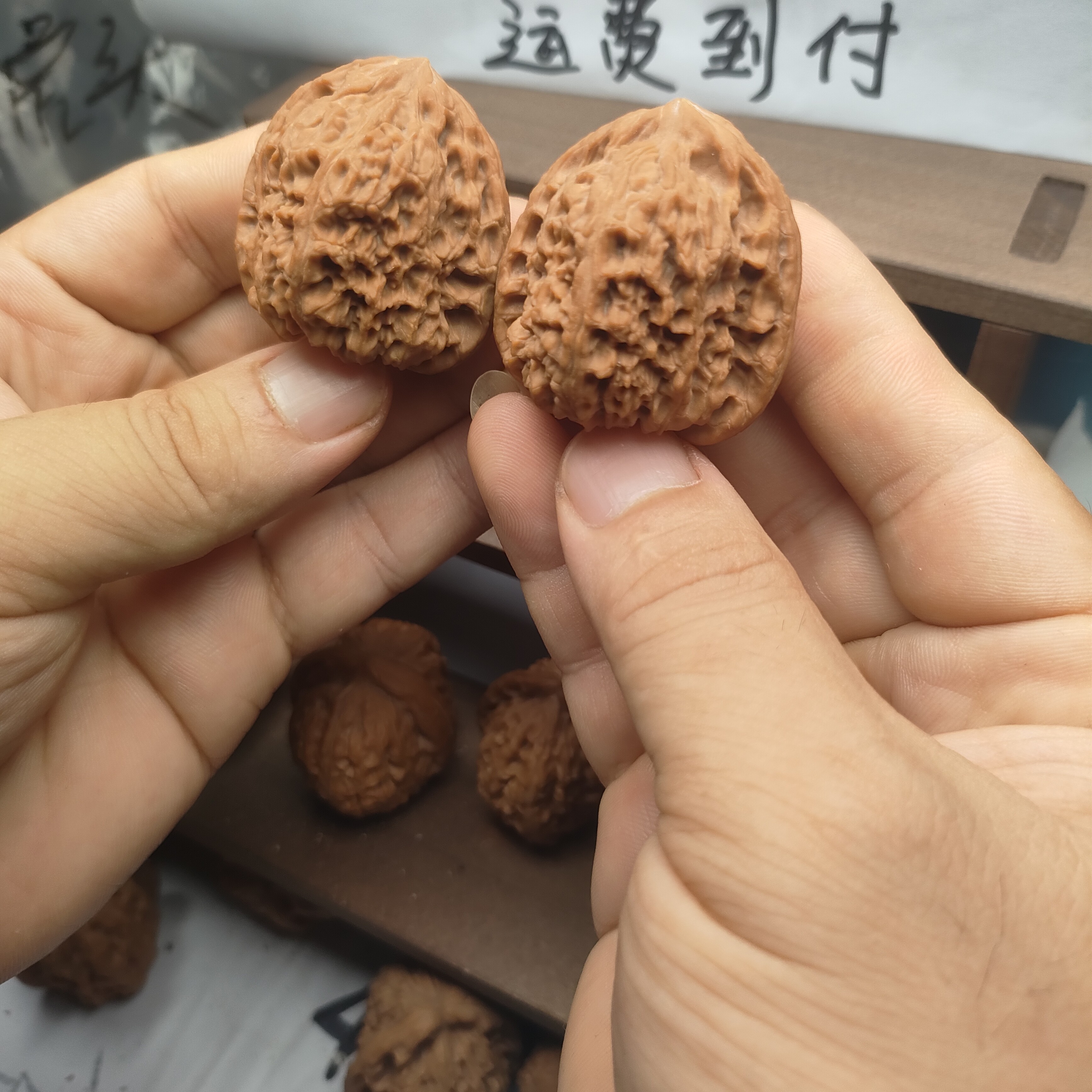 南将石老树新果全品无修