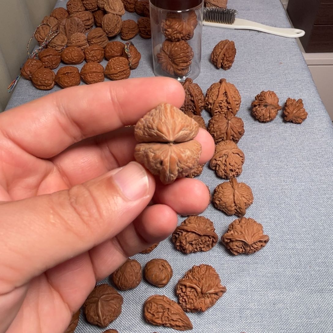 铭***尘核桃核桃核桃核桃