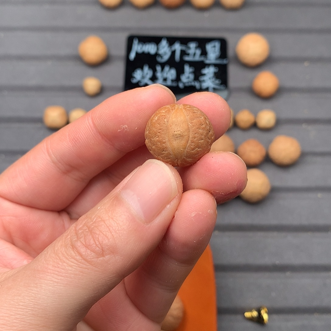 吊坠凤眼菩提心**年20+大凤眼