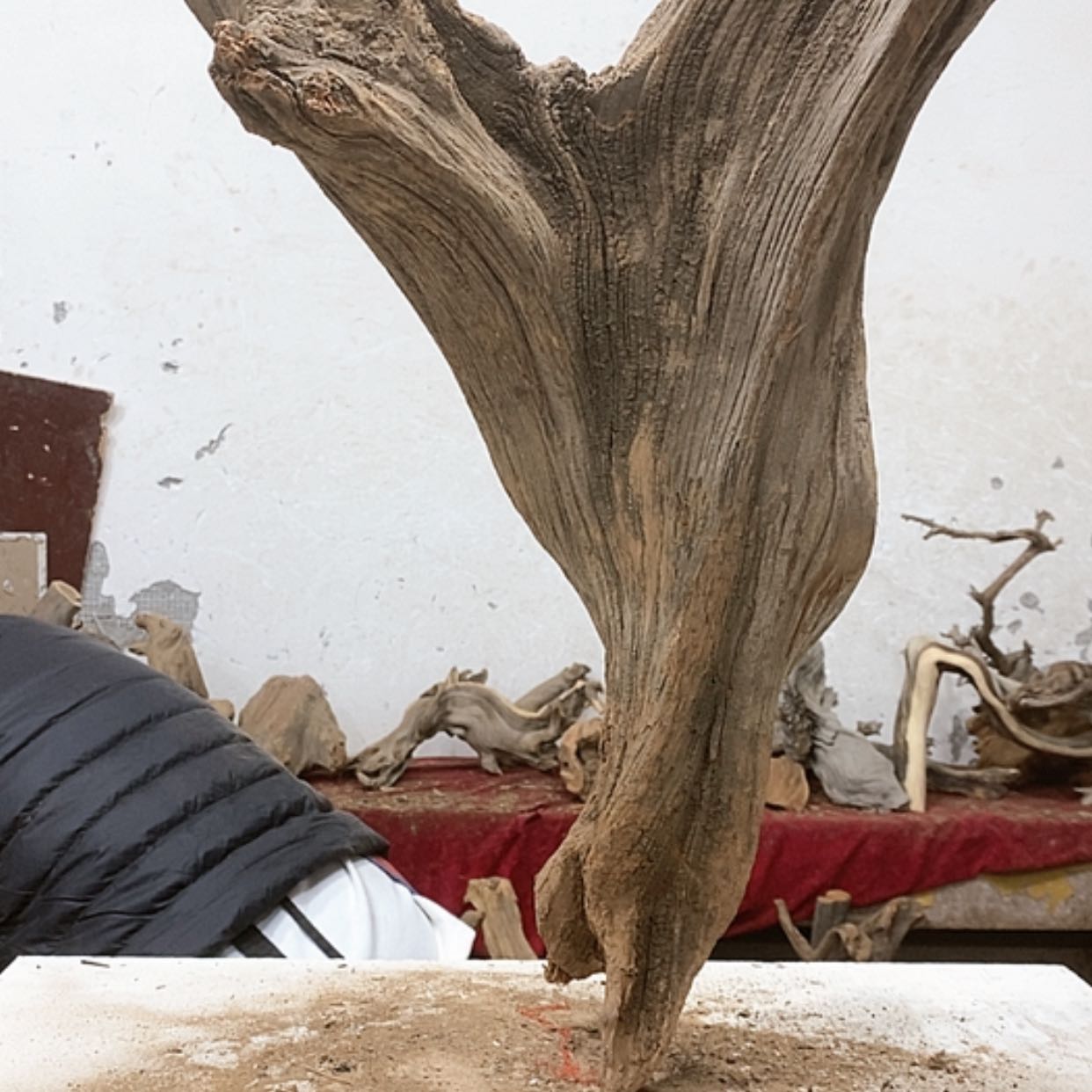 【闪购商品】柏木雨**贝我们都是好孩子