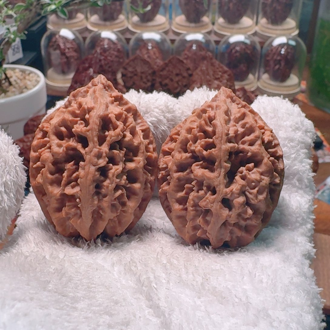 文玩核桃吊坠刺龙王